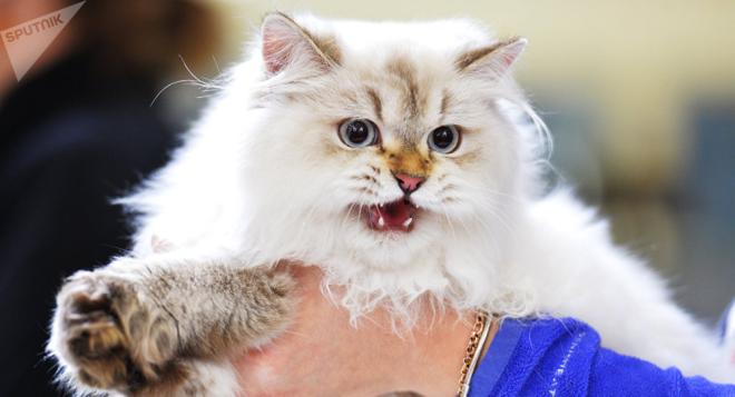 Il ne fait plus sa toilette