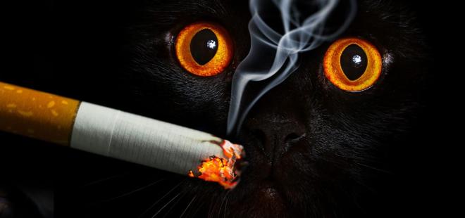 Fumer &agrave; l'int&eacute;rieur