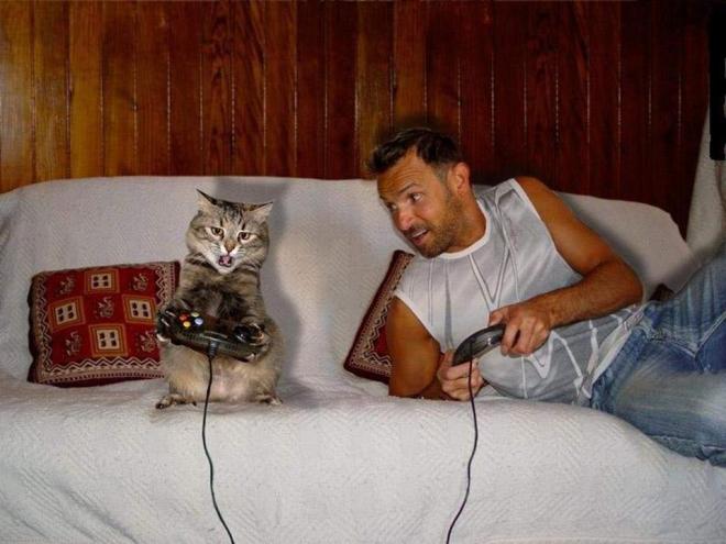 Parler &agrave; son chat