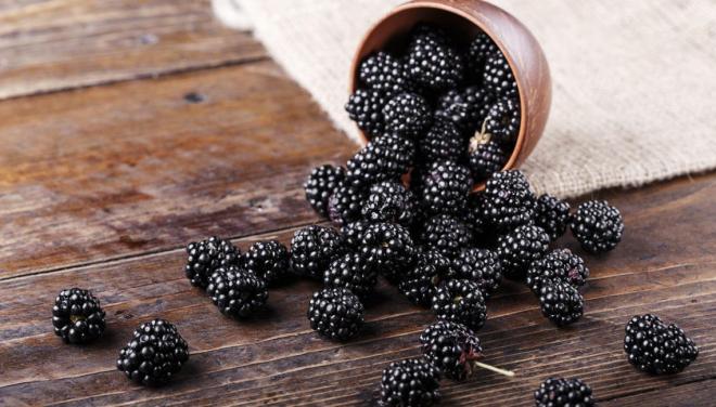 Las moras p&uacute;rpura 