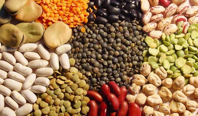 Legumbres 