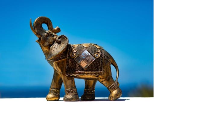 Elefantes con trompa hacia arriba 