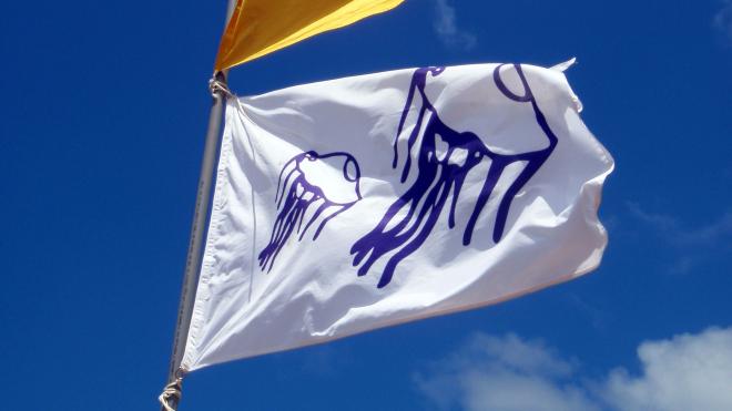 Bandera de presencia de medusas