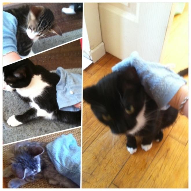 Utiliser un gant humide