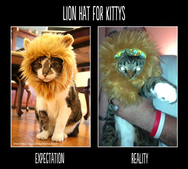 L'acteur de cin&eacute;ma