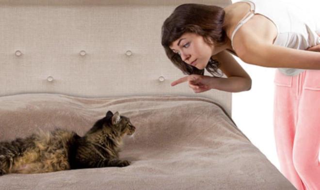 Crier dessus quand il fait une b&eacute;t&icirc;se