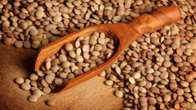 Las lentejas