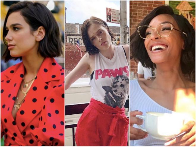 Microbob que tiene m&aacute;s seguidoras cada d&iacute;a