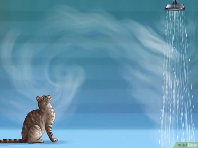 S'assurer que l'air est humide