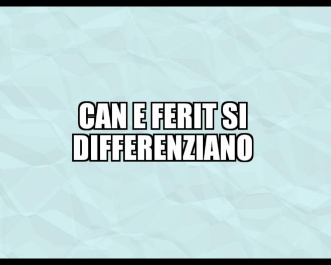 Can e Ferit a confronto 
