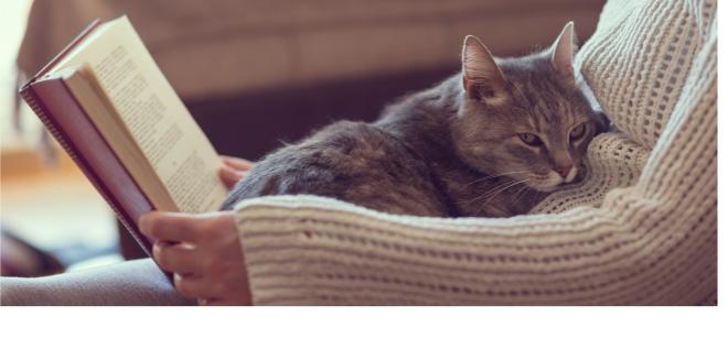 Beneficios calmantes