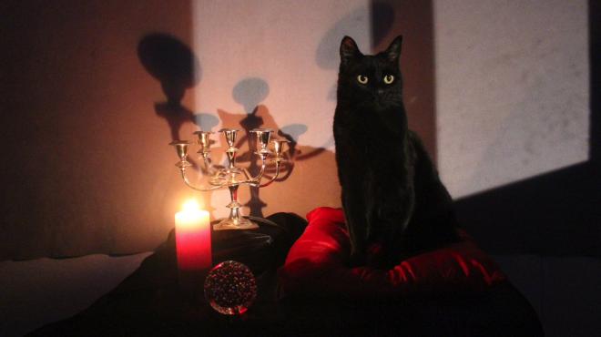 Salem le chat apprenti sorcier