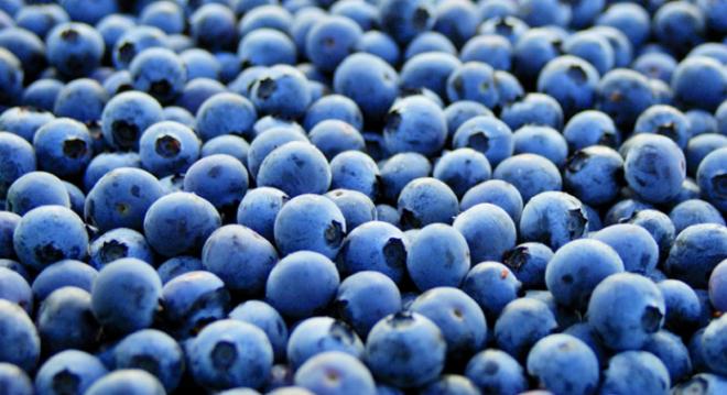 Los ar&aacute;ndanos ayudan a la digesti&oacute;n 