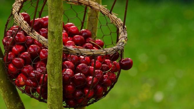 Se cargan con antioxidantes 