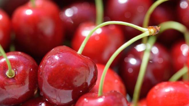 Alivian el dolor post-entrenamiento 