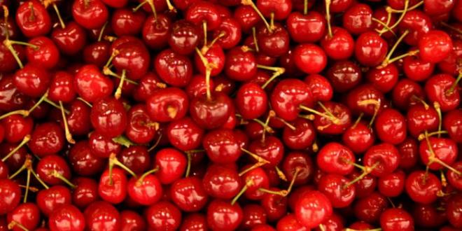 Ayudan a obtener una buena noche de sue&ntilde;o 