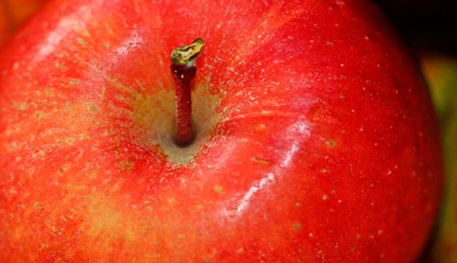 Mejora la salud de las articulaciones