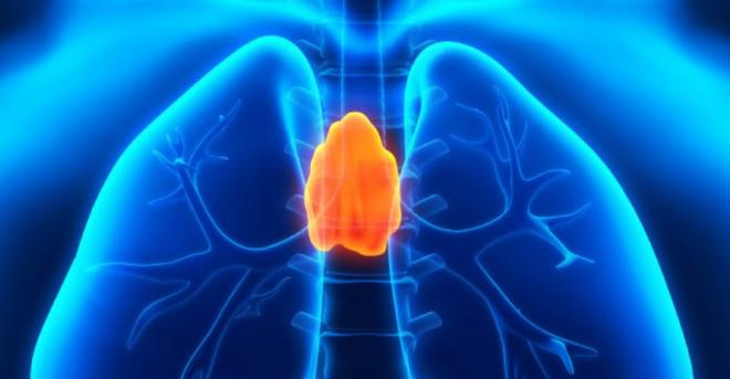 I benefici sul sistema ormonale