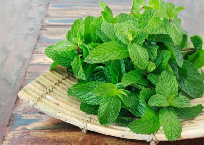 Ayuda a la digesti&oacute;n