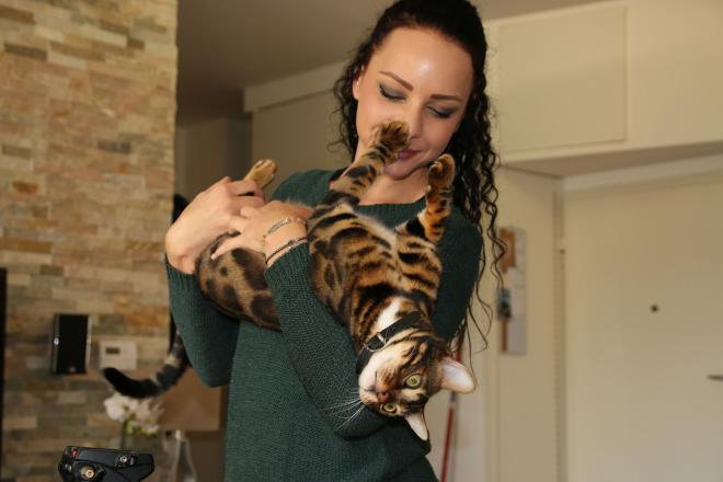 Il a une douleur quelque part