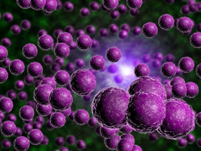 Staphylococcus aereus