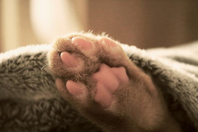 Diss&eacute;miner des couvertures