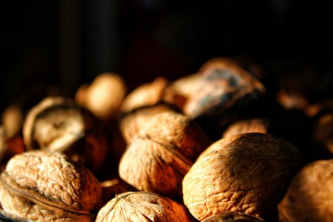 Nozes e algumas oleaginosas