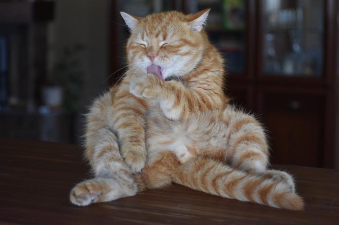 Votre n&eacute;gligence