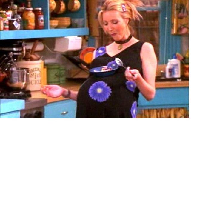 Temporada 4, Epis&oacute;dio 12 &mdash; Aquele com os embri&otilde;es