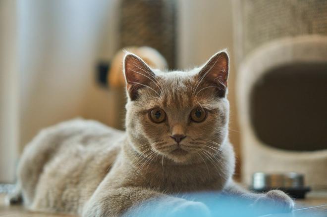 Ne jamais utiliser la violence