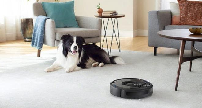 Ideale per chi possiede animali domestici