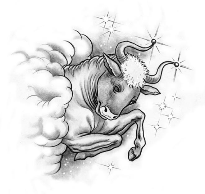 Il segno del Toro 