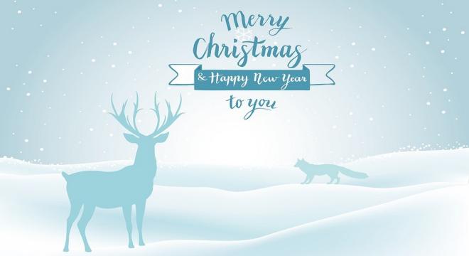 Auguri formali 