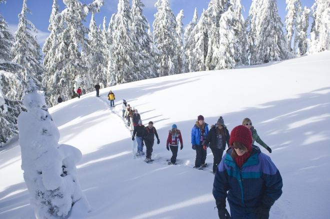 Una simpatica passeggiata sulla neve