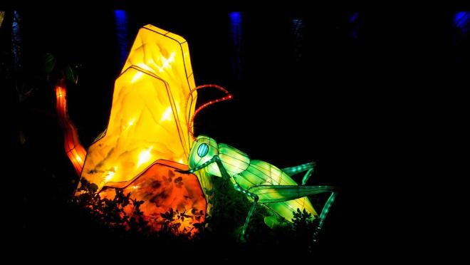 La festa delle Lanterne