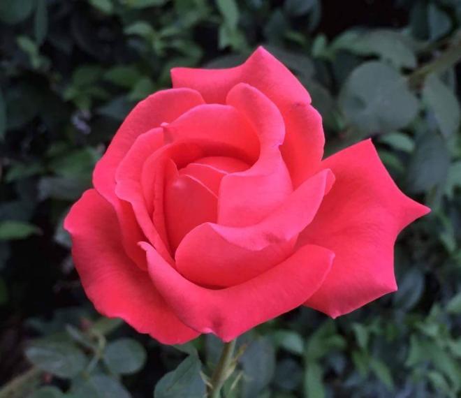 Sei l'amore della mia vita