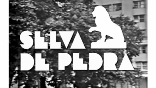 "Selva de Pedra" - 243 cap&iacute;tulos