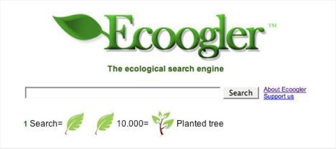 Ecoogler ( foresta amazzonica)