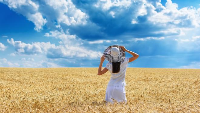 COMPRAR MADE IN SPAIN