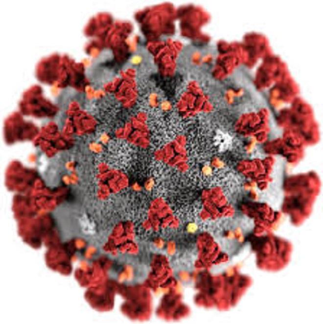 Il virus &egrave; una mutazione dell'influenza