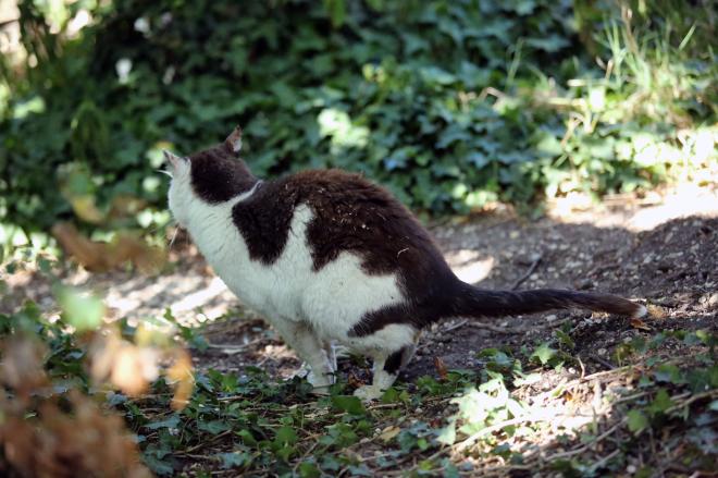 Son c&ocirc;t&eacute; sauvage? 