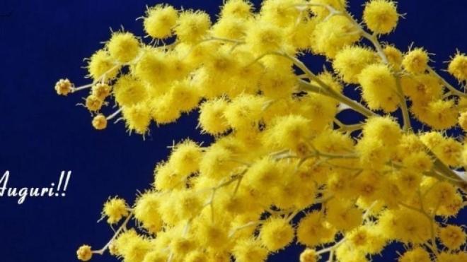 Auguri pieni d'amore alle donne