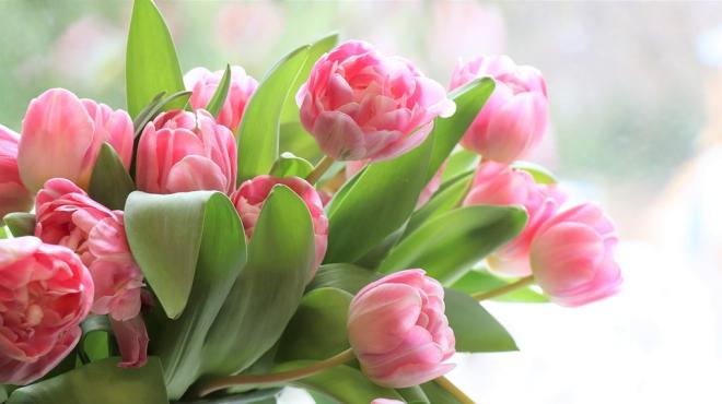 Auguri alla donna pi&ugrave; forte