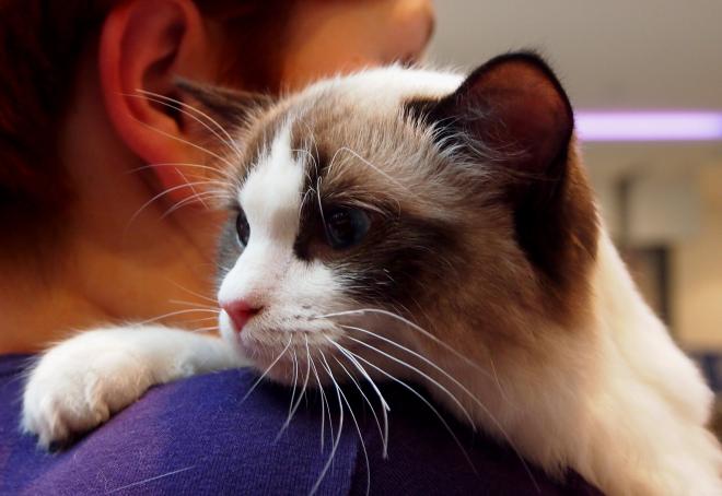 Il a mal quelque part