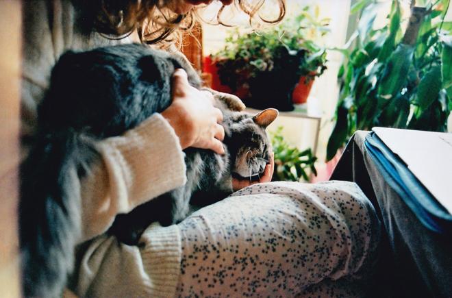 Il ne l'a pas d&eacute;cid&eacute;