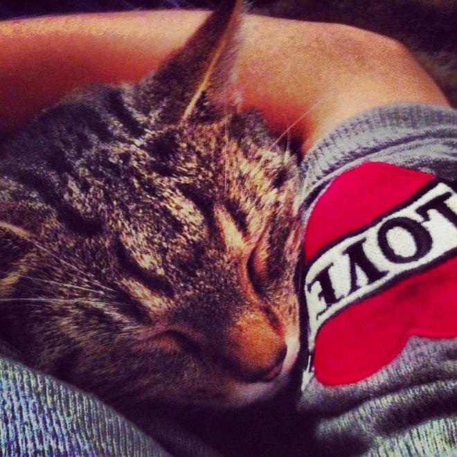 Vous pouvez lui faire peur