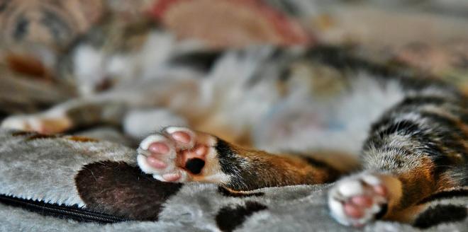 De l'amour dans l'air