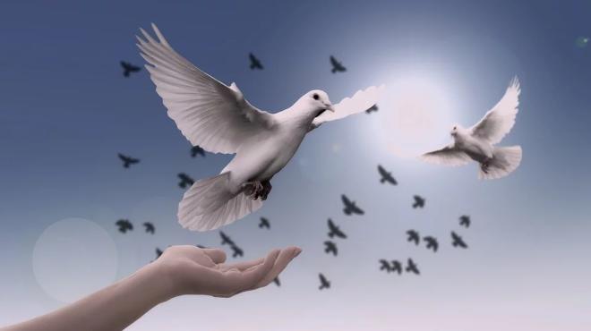 Pace amore e libert&agrave;
