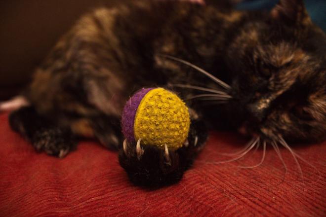 Donnez-lui des jouets