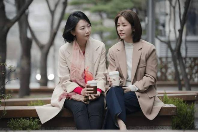 Quest&otilde;es sociais 